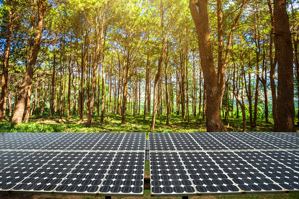 AdobeStock_211346662 ee solar panel system in sunny forest
