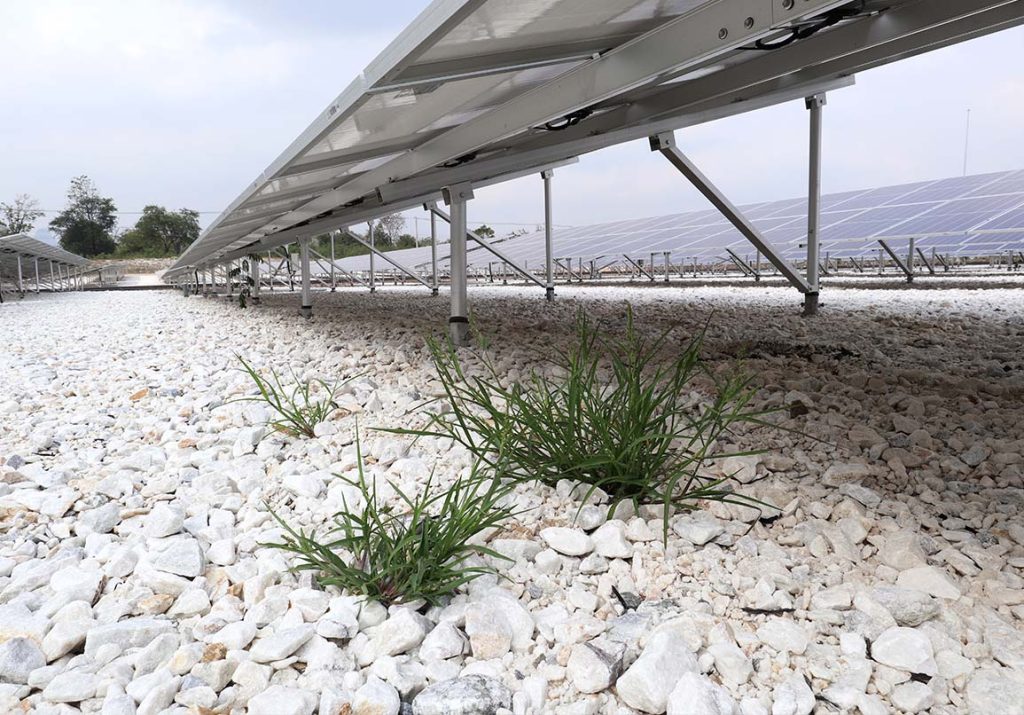 ground mounted solar panels